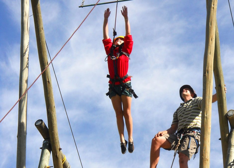 Flying Fox